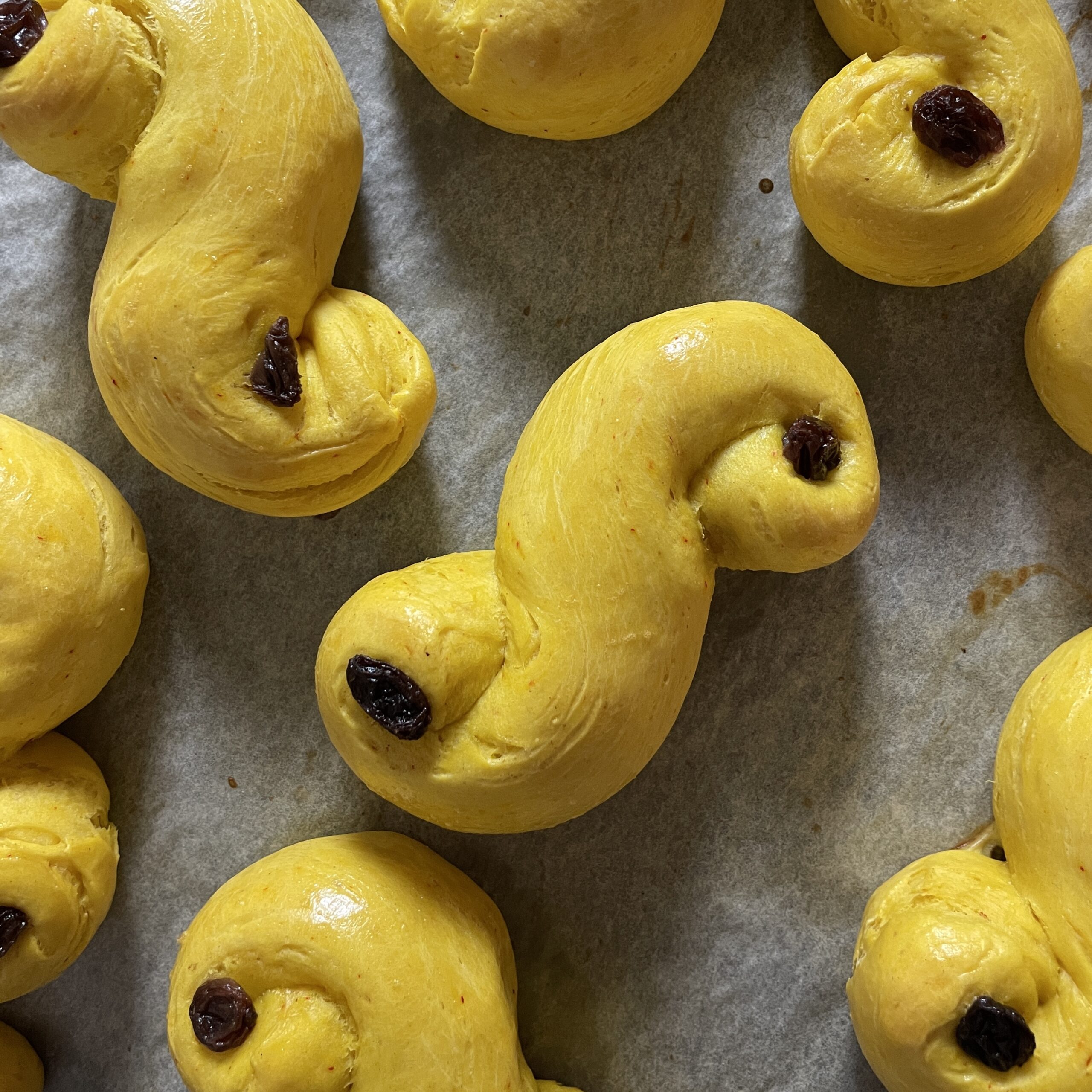 Lussekatter (saffron bun)