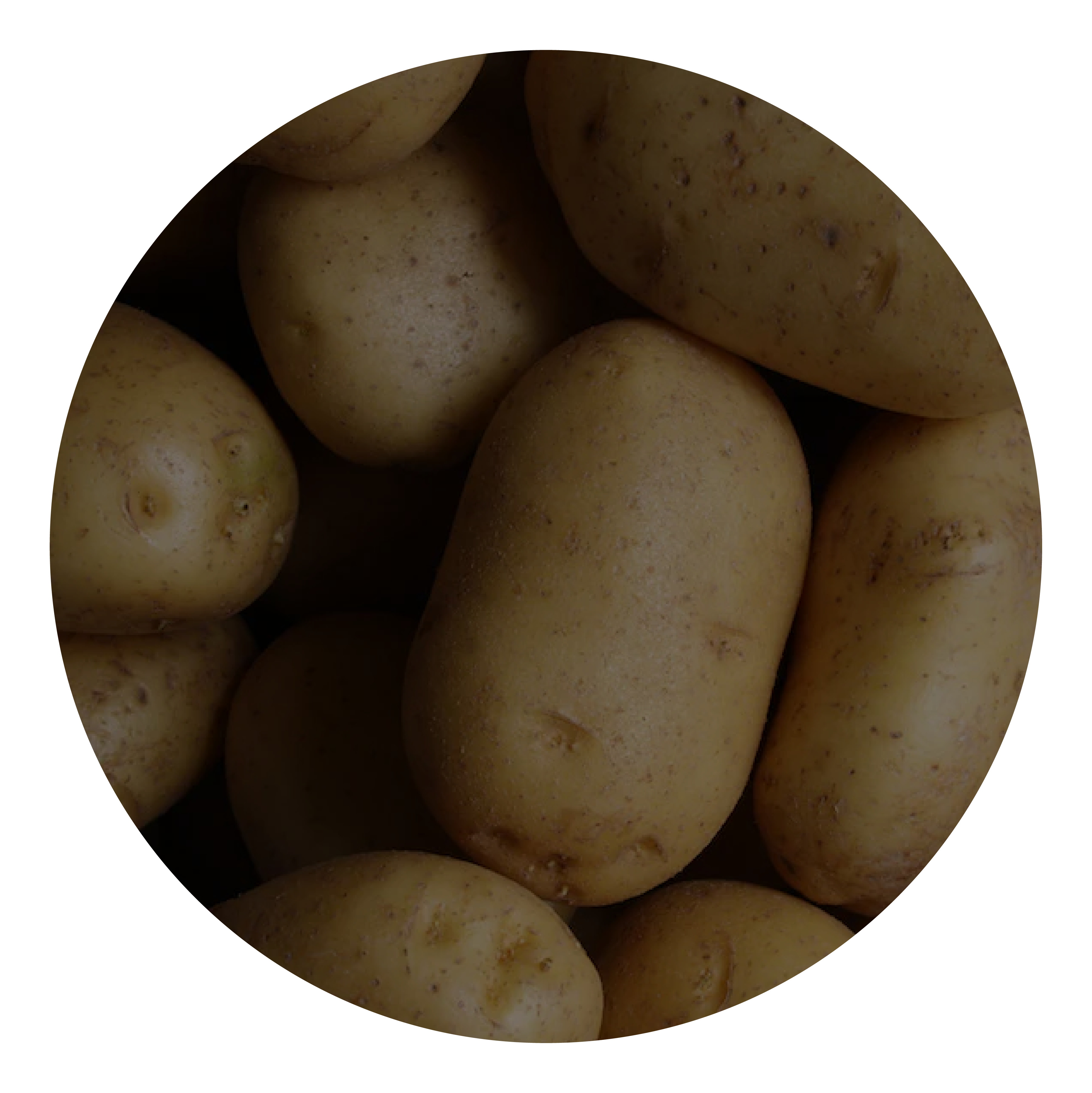 POTATOES